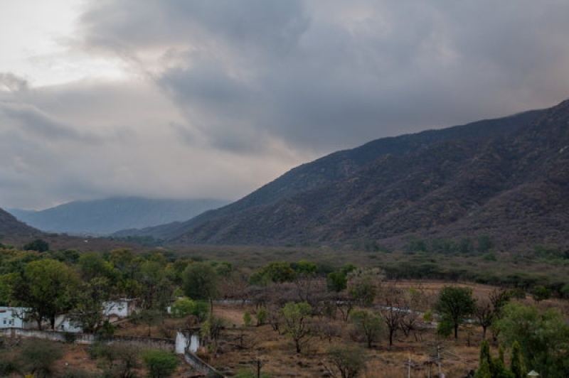 Campagne indienne sur la route vers Pushkar au Rajasthan