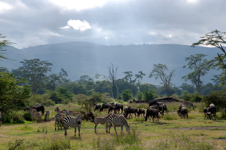 Lumière du soir sur le cratère du Ngorongoro Tanzanie