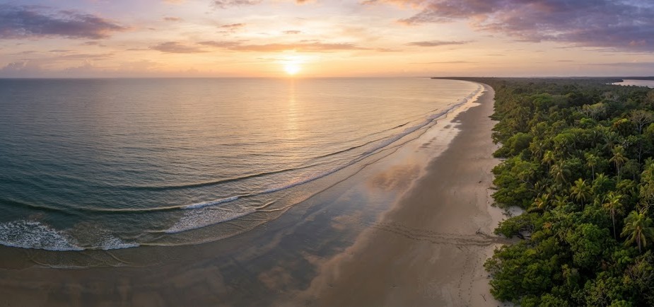 Vue aérienne ou panoramique de la plage d'Awala-Yalimapo en Guyane française au lever du soleil. Végétation tropicale, plage vierge, mer calme. Pas de touristes visibles. Ambiance sauvage et préservée.