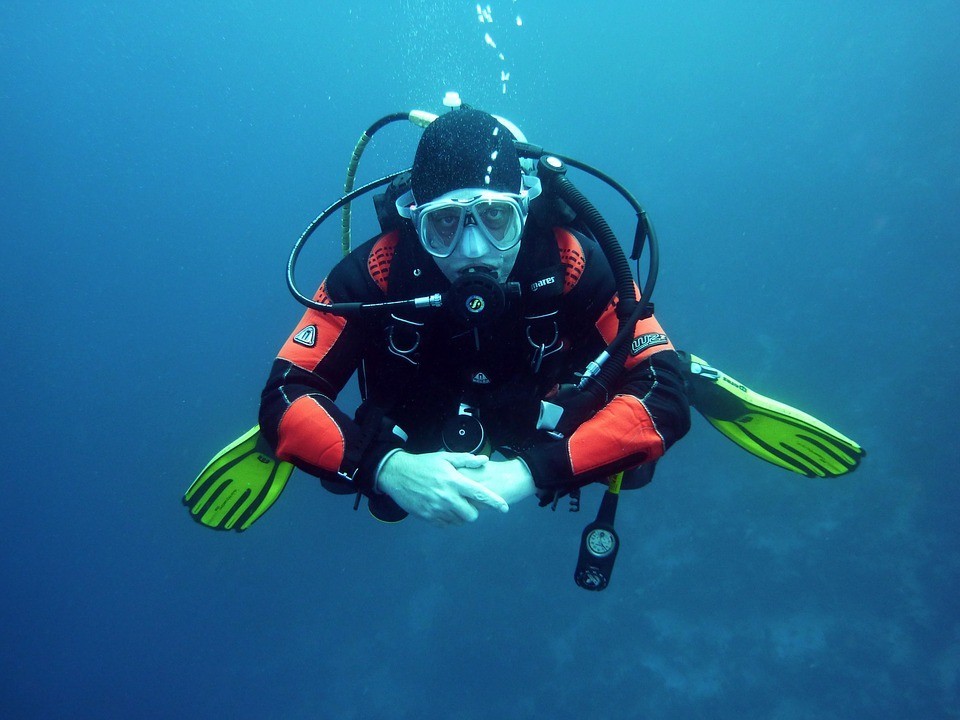 Plongée au Chili, forêt de kelp et faune marine endémique du Pacifique