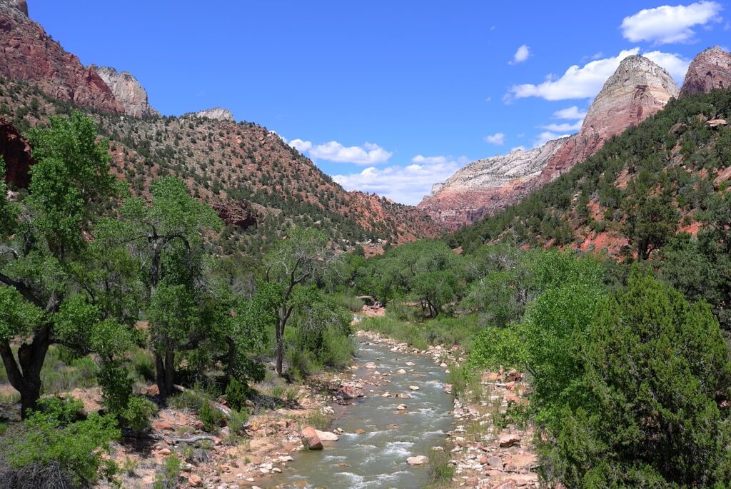 Falaises rouges du parc national de Zion dans l'Utah