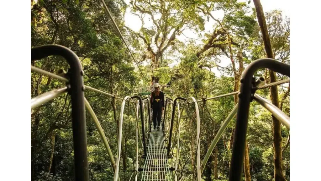 costa rica en solo droits réservés
