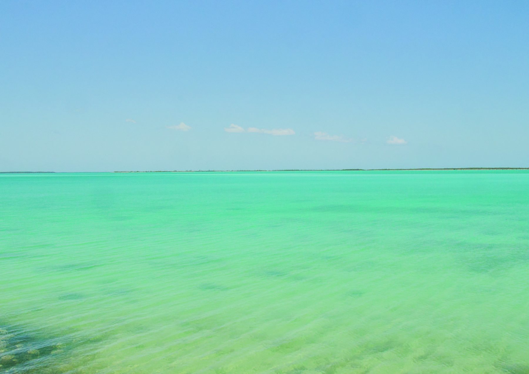 Eleuthéra, le paradis des mers