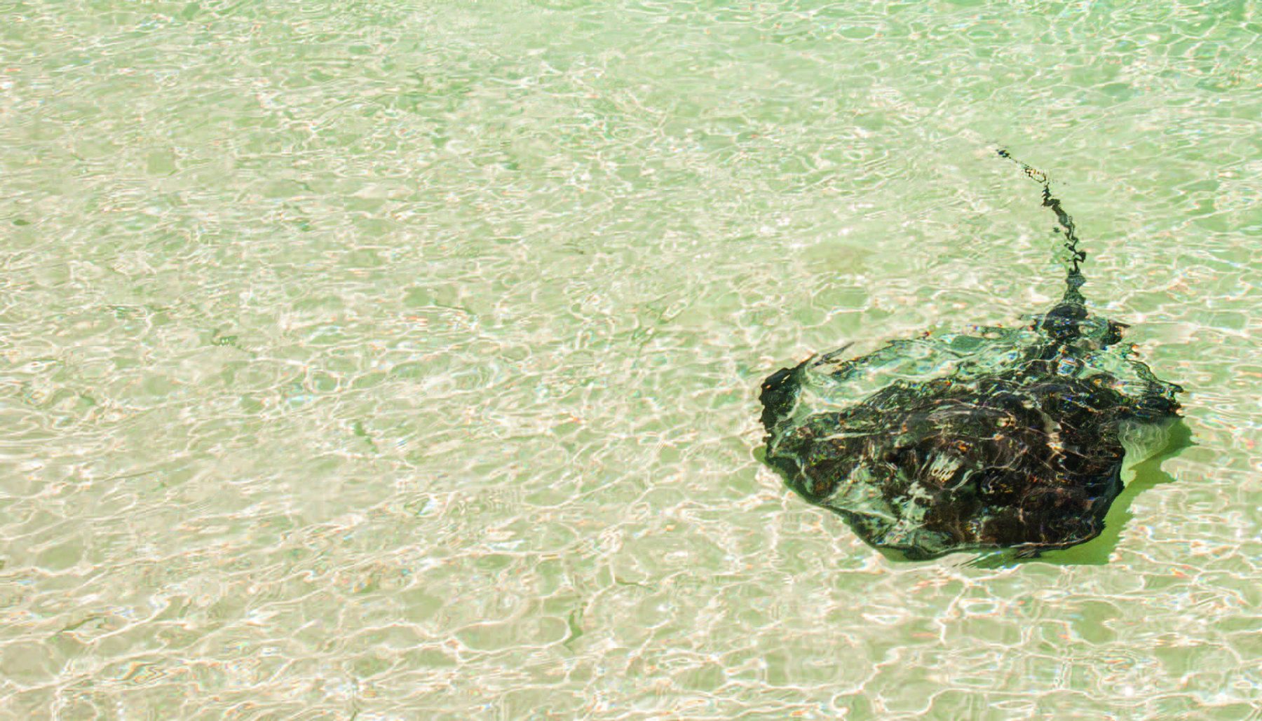 Exuma cays