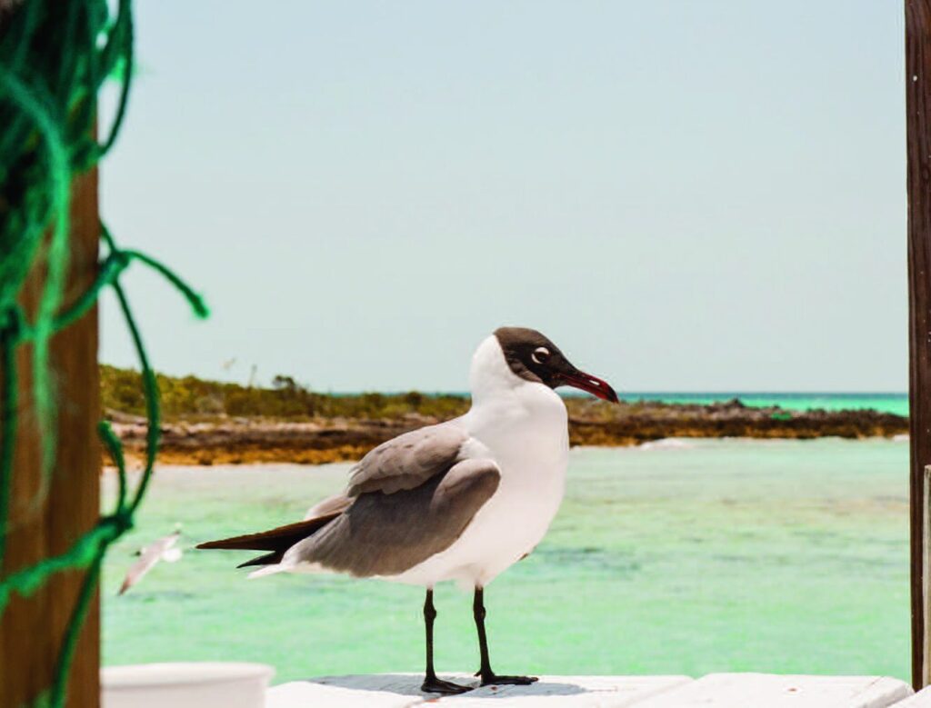 Exuma cays