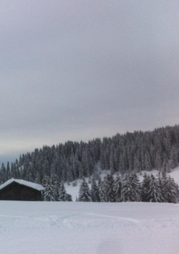 Neige amoureuse : une union alpine pour un mariage tout en blanc