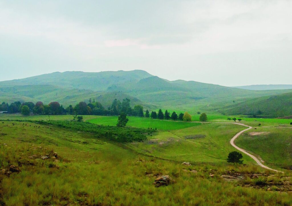 Étape 4 : le Sani-pass dans le Drakensberg