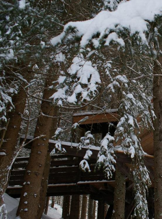 Chalet savoyard couvert de tavaillons sous la neige